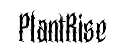 PlantRise - logo